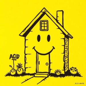 Acid In The House